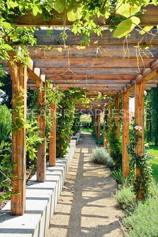 Wisteria, Clematis, grapevines and roses climbing long pergola -  Features4Press | Übergangsjacken