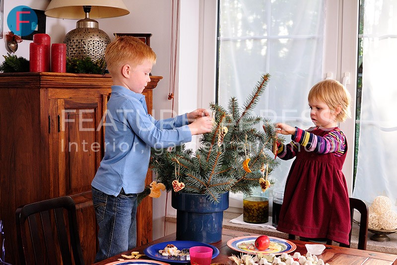 Christmas tree to munch - Features4Press